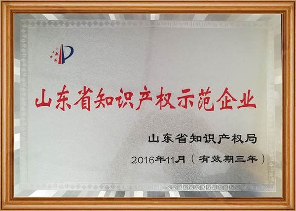 山東省知識產權示范企業(yè)(圖1)
